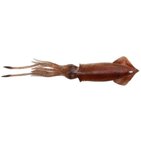 Savage Gear 3D TPE Swim Squid 260 mm 126 gr 1 Adet Red Brown Suni Yem