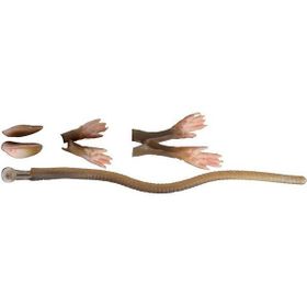 Savage Gear LB 3D Rad Maintenance Kit 20 cm Brown Suni Yem