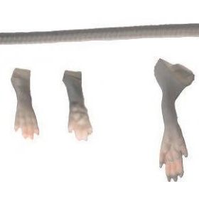 Savage Gear LB 3D Rad Maintenance Kit 20 cm Grey Suni Yem