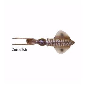 Savage Gear Swim Squid 18 cm 32 G 2 Parça Cuttlefish Suni Yem