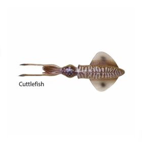 Savage Gear Swim Squid 25 cm 86 g 1 Adet Cuttlefish Suni Yem