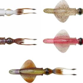 Savage Gear Swim Squid Rtf 25 cm 160 gr White Glow Cuttlefish Suni Yem