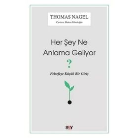 Say Yayınları Felsefeye Giriş