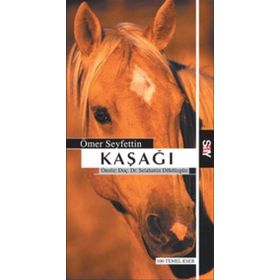 Say Yayınları Kaşağı