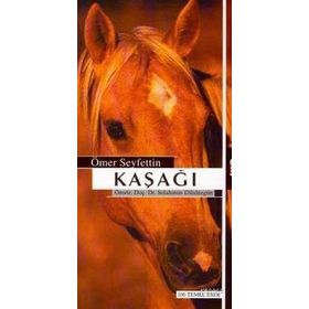 Say Yayınları Kaşağı