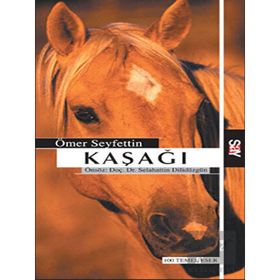 Say Yayınları Kaşağı