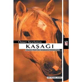 Say Yayınları Kaşağı