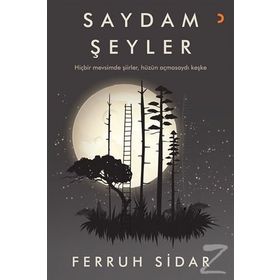 Saydam Şeyler - Ferruh Sidar