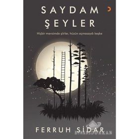 Saydam Şeyler - Ferruh Sidar