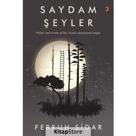 SAYDAM ŞEYLER - VLADIMIR NABOKOV