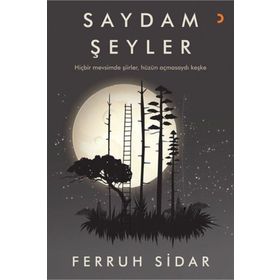 SAYDAM ŞEYLER - VLADIMIR NABOKOV