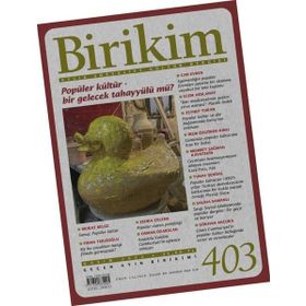 Sayı 403 Birikim Dergisi Birikim Yayınları