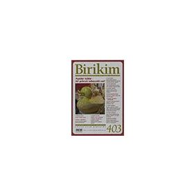 Sayı 403 Birikim Dergisi Birikim Yayınları