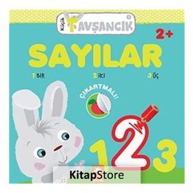 Sayılar - kollektif