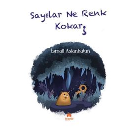 Sayılar Ne Renk Kokar İsmail Aslanhatun