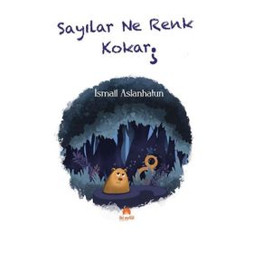 Sayılar Ne Renk Kokar İsmail Aslanhatun