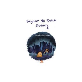 Sayılar Ne Renk Kokar İsmail Aslanhatun