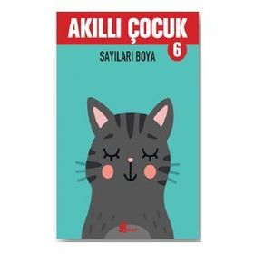 Sayıları Boya - Akıllı Çocuk 6 Kitap