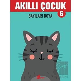 Sayıları Boya - Akıllı Çocuk 6 Kitap