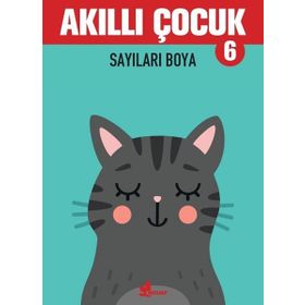 Sayıları Boya - Akıllı Çocuk 6 Kitap