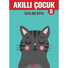 Sayıları Boya - Akıllı Çocuk 6 Kitap