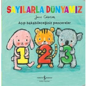 Sayılarla Dünyamız - Marianne Taylor Crive Gifford Steve Martini Steve Martin