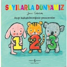 Sayılarla Dünyamız - Marianne Taylor Crive Gifford Steve Martini Steve Martin