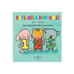 Sayılarla Dünyamız - Marianne Taylor Crive Gifford Steve Martini Steve Martin