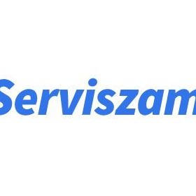 Scania 114-124 Duylu Sağ Sinyal Lambası