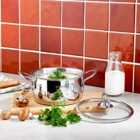 Schafer 1S4606-13001-INX03 Micro 16 cm Mini Derin Çelik Tencere Takımı