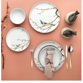 Schafer Arty 24 Parça Pembe Yemek Takımı