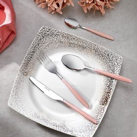 Schafer Mona 24 Parça 6 Kişilik Pembe Çatal Kaşık Bıçak Takımı