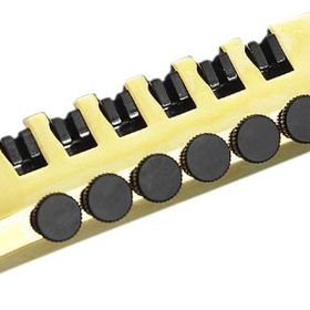 Schaller 12070500 Altın Fiksli Elektro Gitar Kuyruğu