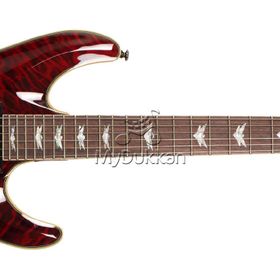 Schecter Omen Extreme 6 Elektro Gitar