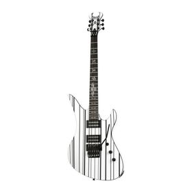 Schecter Synyster Gates Standard Elektro Gitar