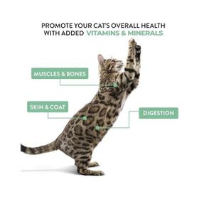 Schesir Ton Balığı ile Tavuklu Jöle İçinde Multipack 6x50 gr Kedi Konservesi