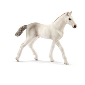 Schleich 13860 Holsteiner Tay Figür