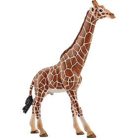 Schleich 14749 Erkek Zürafa
