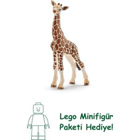 Schleich 14751 Yavru Zürafa