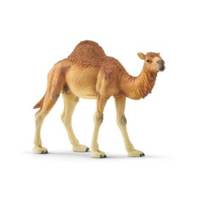 Schleich 14832 Hörgüçlü Deve