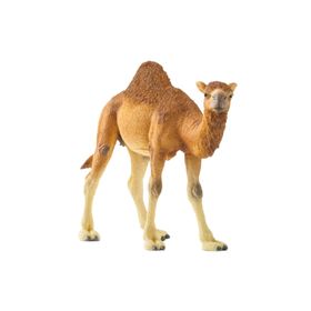Schleich 14832 Hörgüçlü Deve