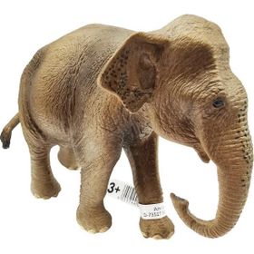 Schleich 17001 Asya Fili Dişi Figür Oyuncak