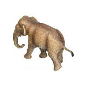 Schleich 17001 Asya Fili Dişi Figür Oyuncak