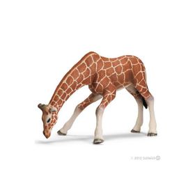 Schleich 17007 Zürafa Dişi Figür Oyuncak