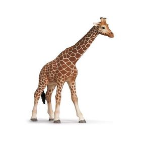 Schleich 17007 Zürafa Dişi Figür Oyuncak