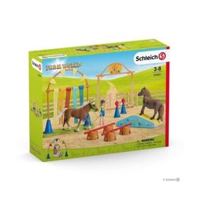 Schleich 42481 Pony Eğitimi Figür