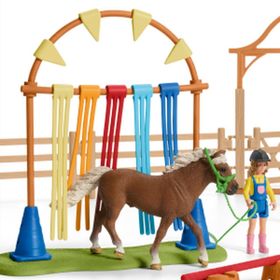 Schleich 42481 Pony Eğitimi Figür