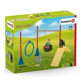 Schleich 42536 Köpek Eğitim Seti