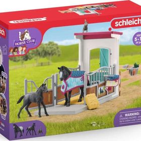 Schleich 42611 Kısrak ve Taylı At Kutusu