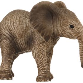 Schleich Afrika Fili Yavru Figür Oyuncak